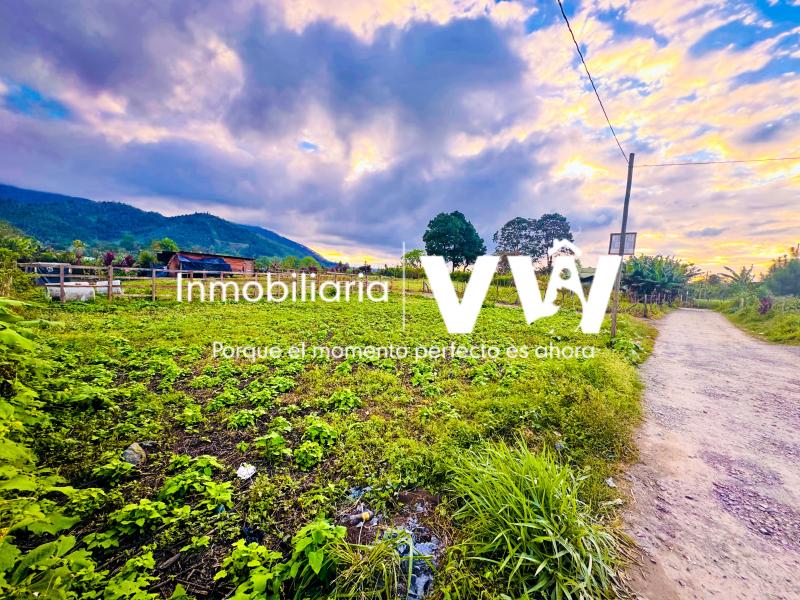 :::🏡🌳 HERMOSO TERRENO PLANO TIPO CAMPESTRE  - EN VENTA ••• SANTA CRUZ / ALTA VERAPAZ::.