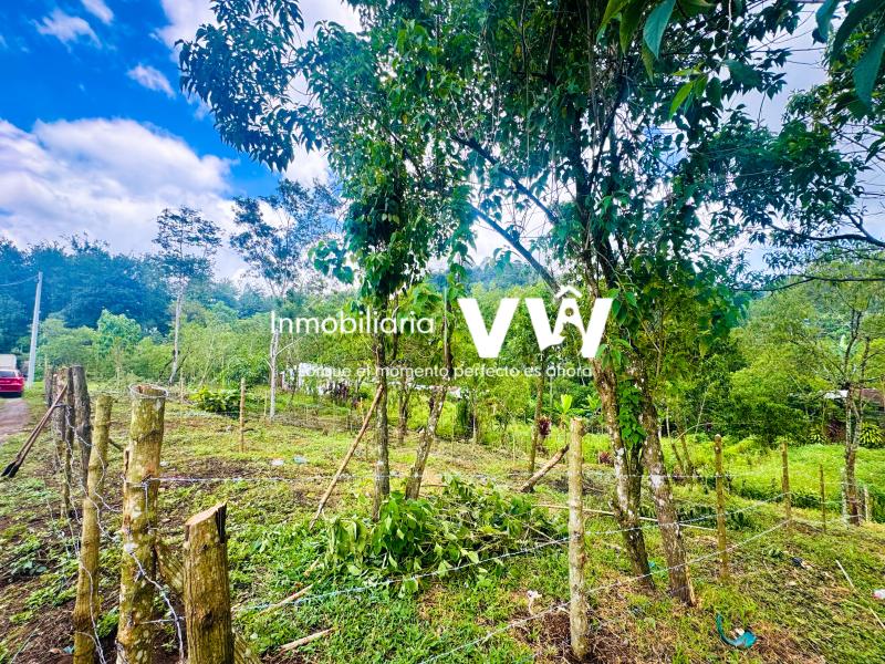 .:::🏡🌳OFERTA OFERTA :::. HERMOSO TERRENO TOTALMENTE PLANO, SAN JUAN CHAMELCO, ALTA VERAPAZ::.