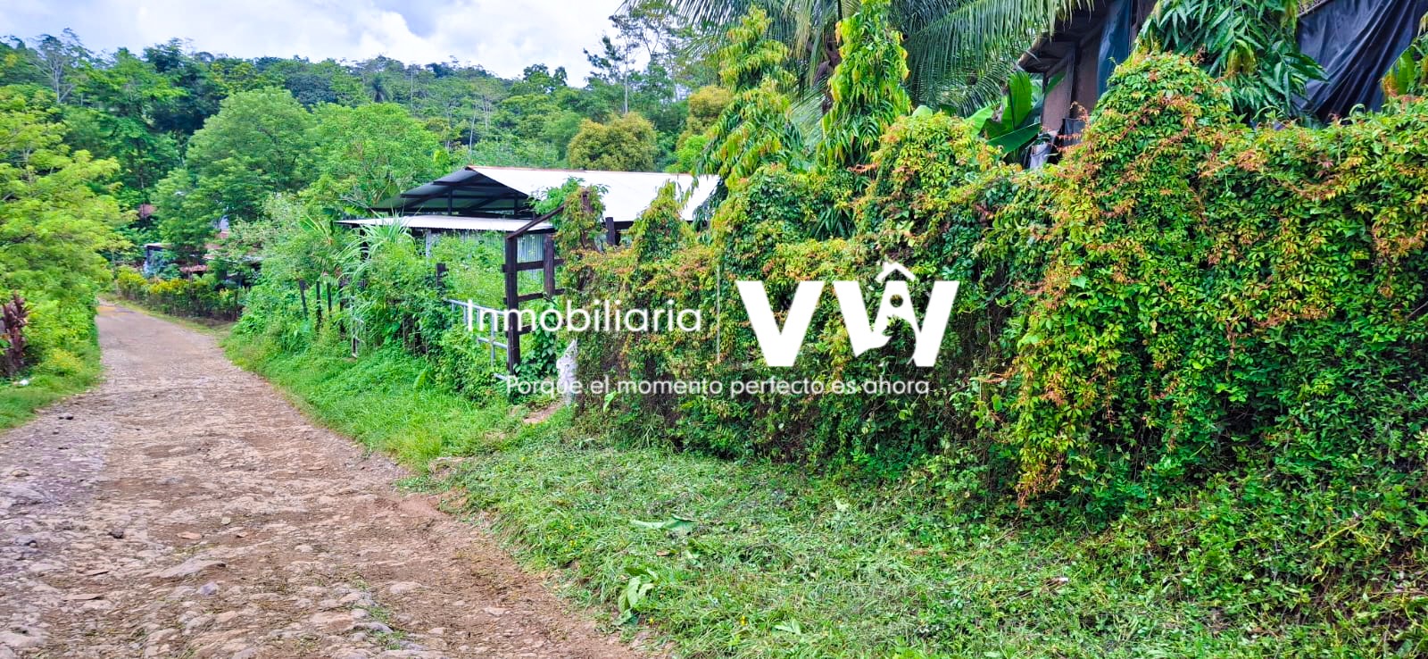 .:::🏡🌳OFERTA OFERTA!! :::. ESPECTACULAR FINCA DE MANZANA Y MEDIA EN VENTA!! ALDEA SAYAXUT, COBÁN ALTA VERAPAZ::.