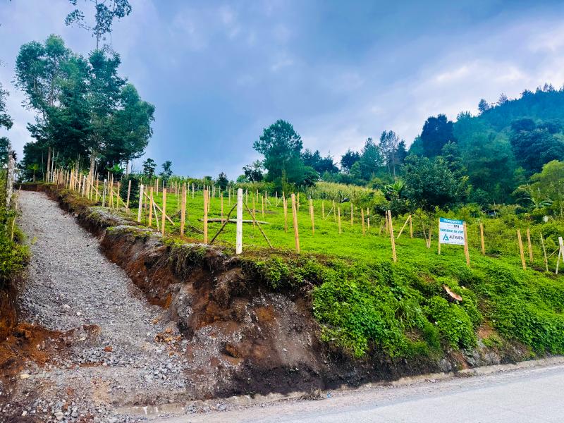 .:::🏡🌳 HERMOSOS TERRENOS EN VENTA :::. SEMI PLANOS, SAN JUAN CHAMELCO, ALTA VERAPAZ::.