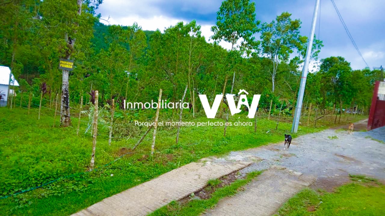 .:::🏡🌳OFERTA OFERTA :::. HERMOSO TERRENO TOTALMENTE PLANO, SAN JUAN CHAMELCO, ALTA VERAPAZ::.