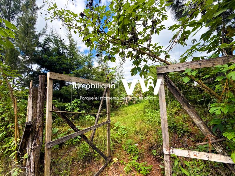 :::🏡🌳 HERMOSO TERRENO  - EN VENTA ••• SAN PEDRO CARCHA  / ALTA VERAPAZ::. COLONIA LA TRINIDAD 1